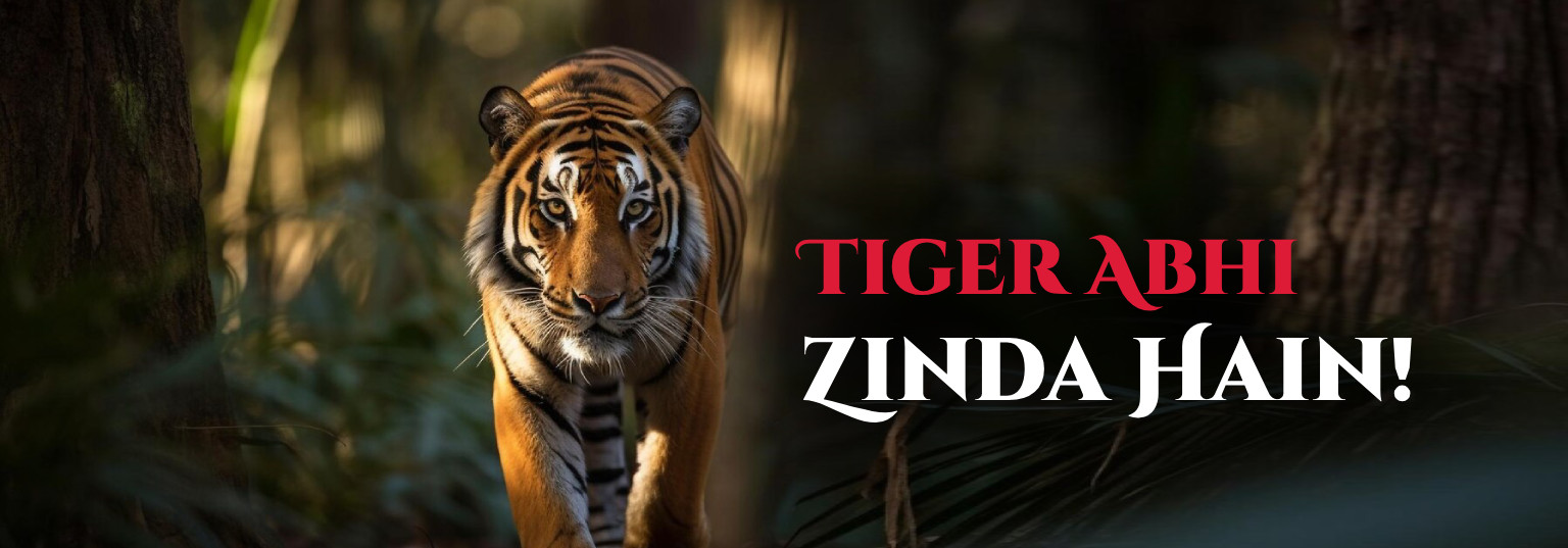 tiger-trading-nozzle